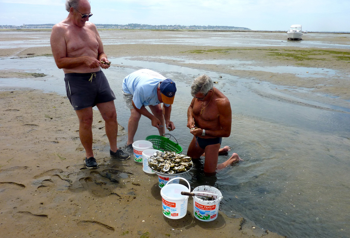 Les huitres