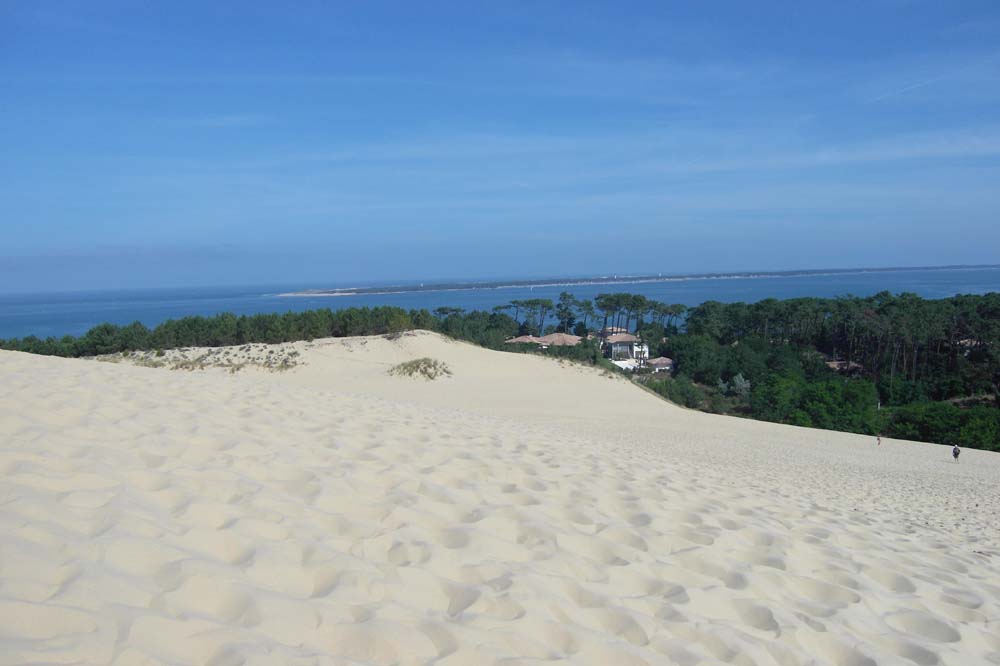 Dune 0351