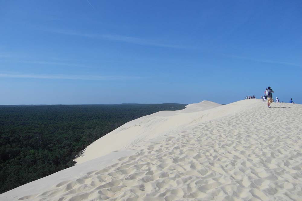 Dune 0354