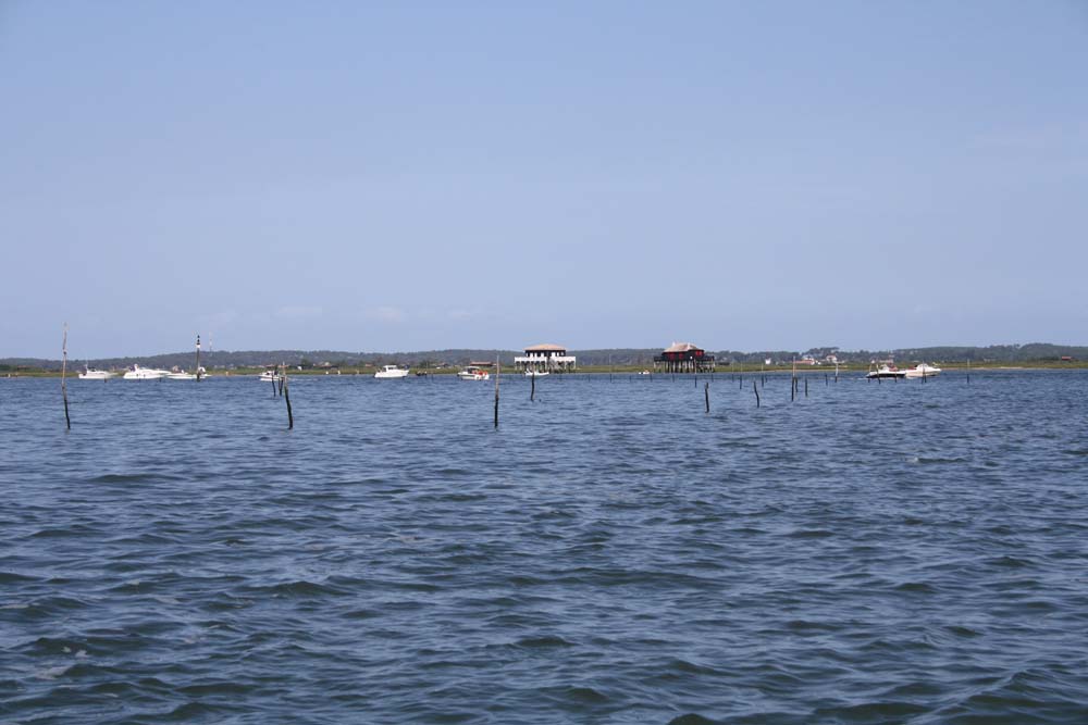 Ile aux oiseaux 0165