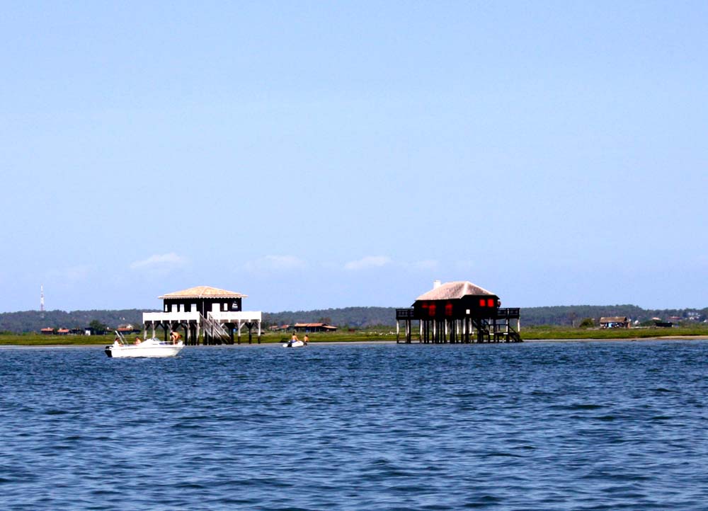 Ile aux oiseaux 0166