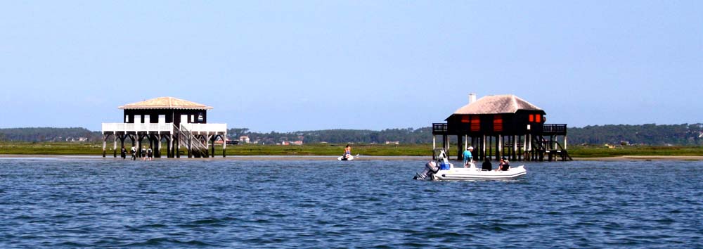 Ile aux oiseaux 0167
