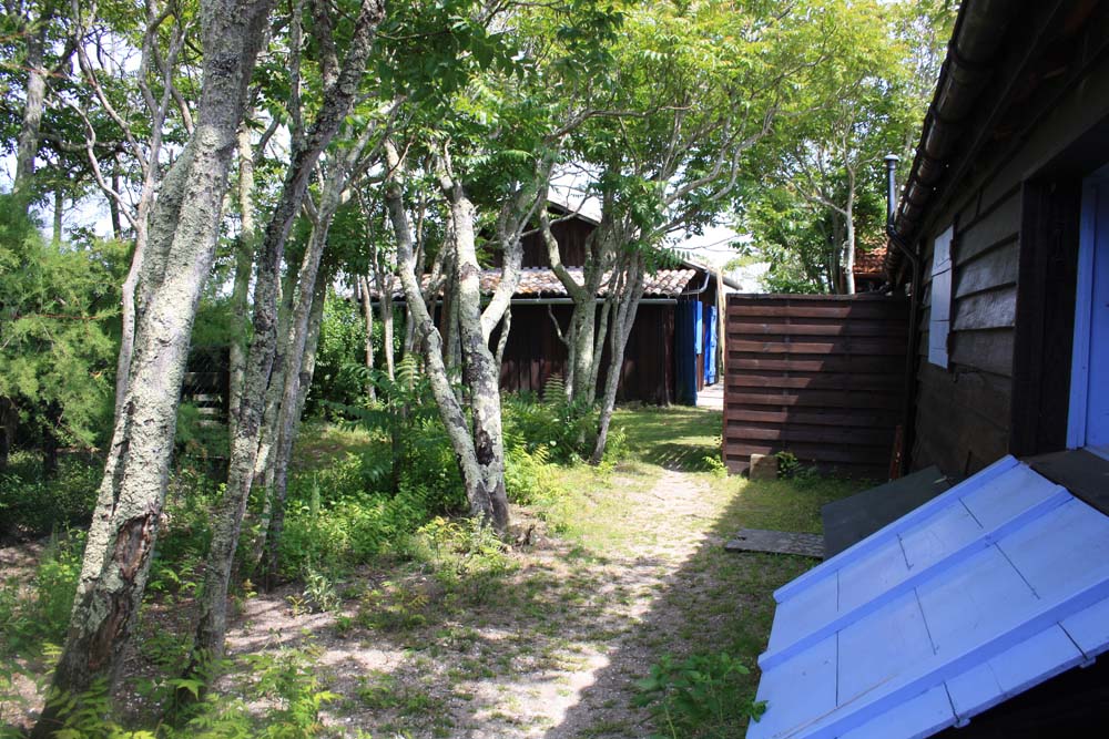 Ile aux oiseaux 0199