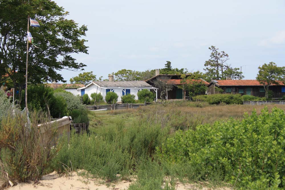 Ile aux oiseaux 0200