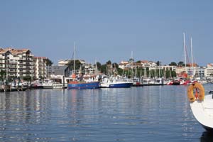 Ile aux oiseaux 0160
