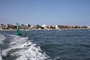 Ile aux oiseaux 0163