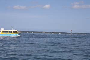 Ile aux oiseaux 0164
