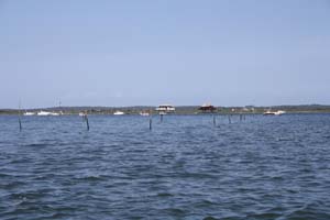 Ile aux oiseaux 0165