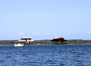Ile aux oiseaux 0166