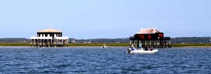 Ile aux oiseaux 0167