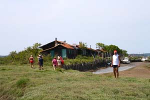 Ile aux oiseaux 0192
