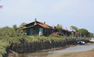 Ile aux oiseaux 0193