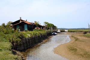 Ile aux oiseaux 0194