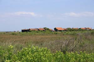 Ile aux oiseaux 0197