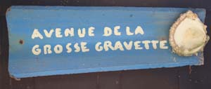 Ile aux oiseaux 0198