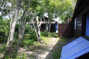 Ile aux oiseaux 0199