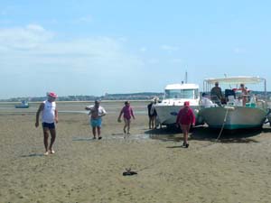 crabe et palourde 0336