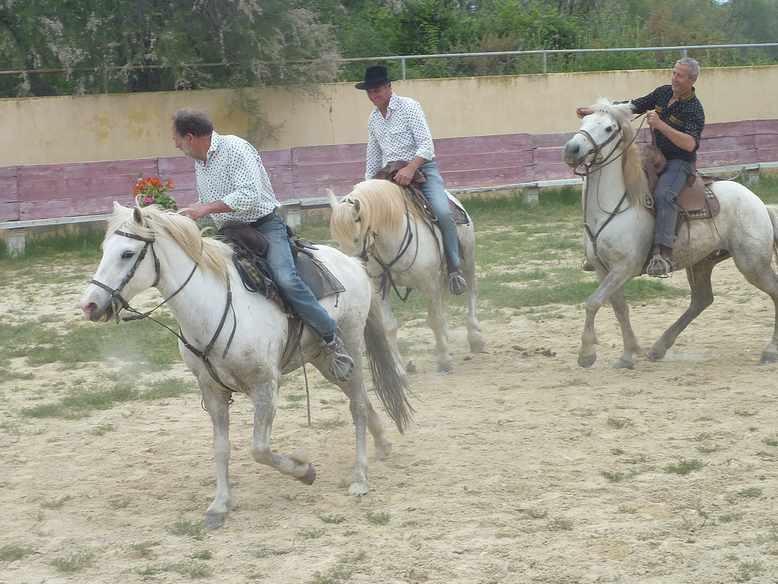 P1070365