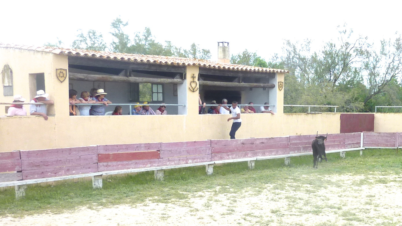 P1070385