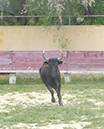 P1070374
