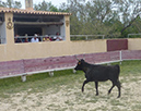 P1070375